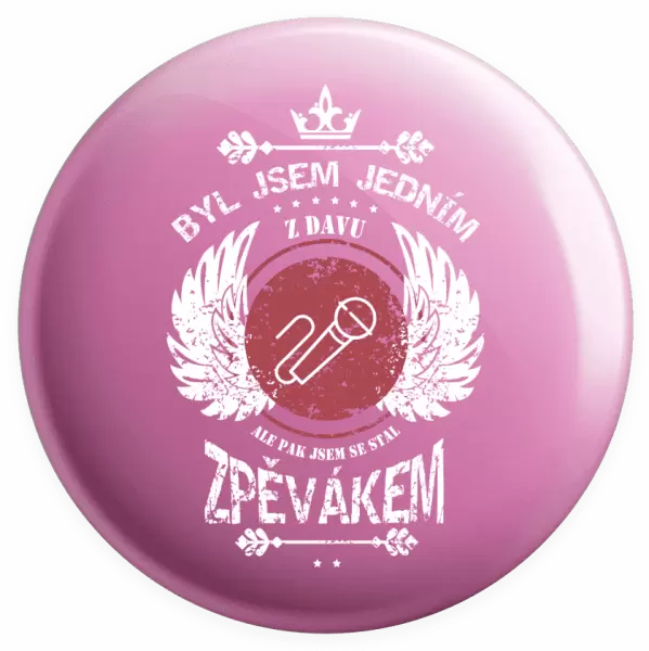 Placka Byl jsem jedním z davu, ale pak jsem se stal zpěvákem