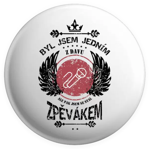 Placka Byl jsem jedním z davu, ale pak jsem se stal zpěvákem