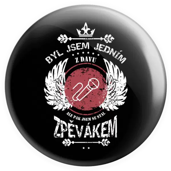 Placka Byl jsem jedním z davu, ale pak jsem se stal zpěvákem