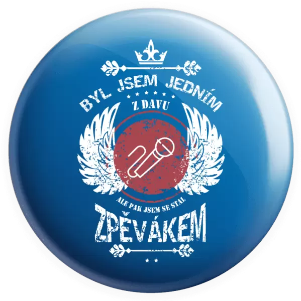 Placka Byl jsem jedním z davu, ale pak jsem se stal zpěvákem