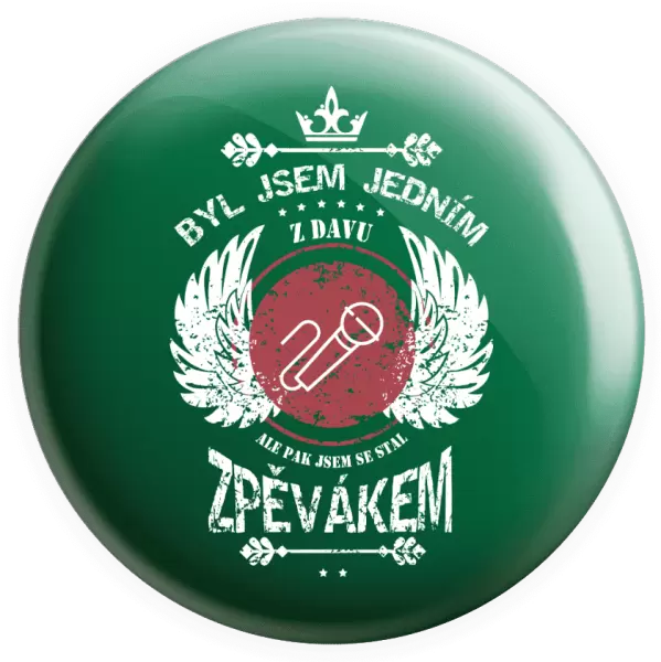 Placka Byl jsem jedním z davu, ale pak jsem se stal zpěvákem