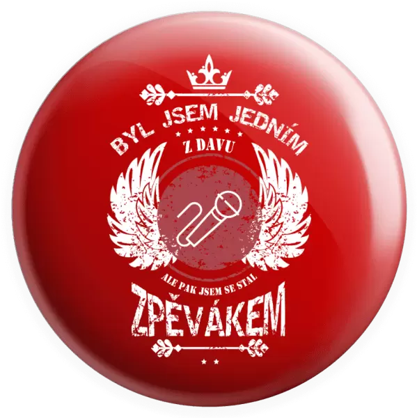 Placka Byl jsem jedním z davu, ale pak jsem se stal zpěvákem