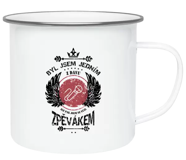 Plecháček Byl jsem jedním z davu, ale pak jsem se stal zpěvákem