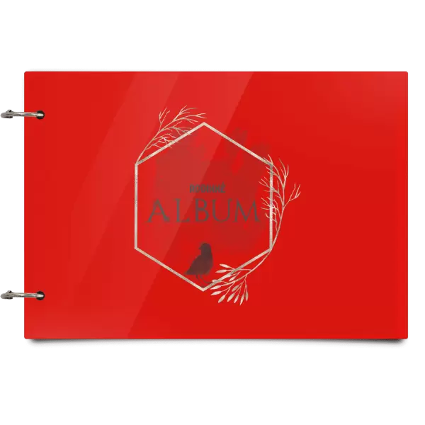 Plexi album sa sponami Vtáčik v zlatom šesťuholníku