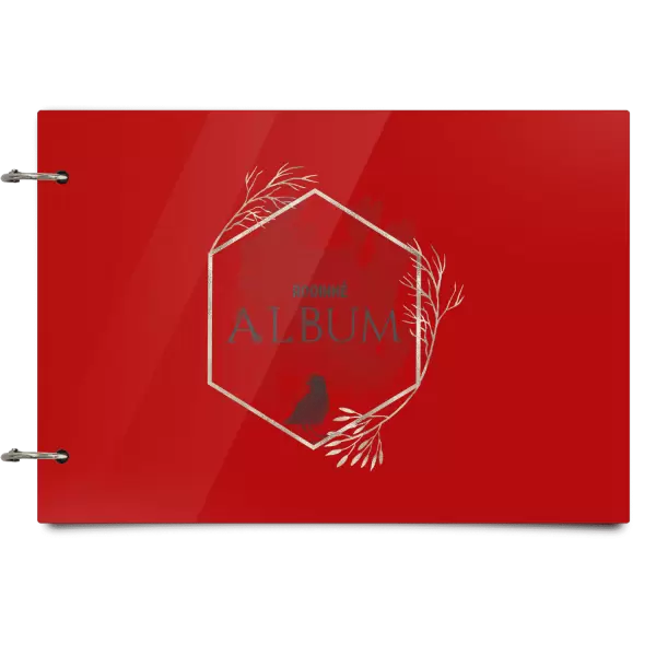 Plexi album sa sponami Vtáčik v zlatom šesťuholníku