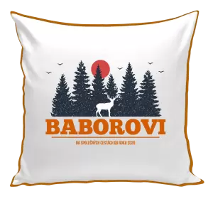 Polštář Na společných cestách