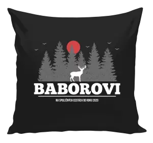 Polštář Na společných cestách