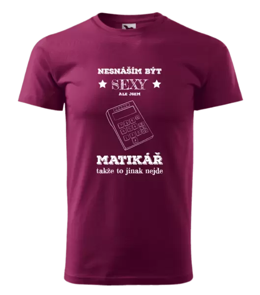Pánské tričko Nesnáším být sexy, ale jsem matikář