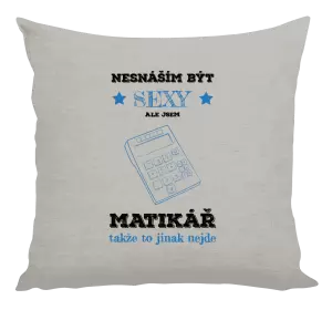 Polštář Nesnáším být sexy, ale jsem matikář