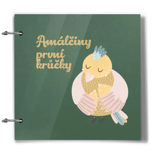 Plexi album se sponami První krůčky se jménem - kuřátka