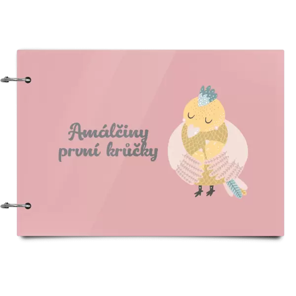 Plexi album se sponami První krůčky se jménem - kuřátka