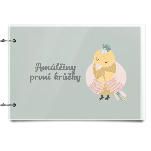 Plexi album se sponami První krůčky se jménem - kuřátka