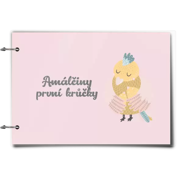 Plexi album se sponami První krůčky se jménem - kuřátka