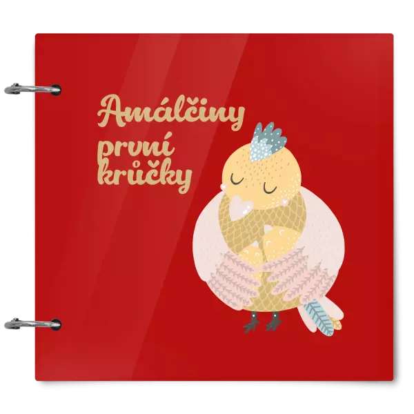 Plexi album se sponami První krůčky se jménem - kuřátka