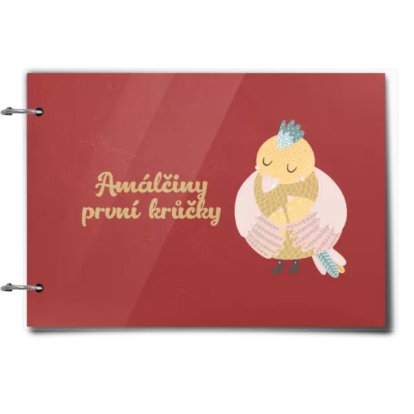 Plexi album se sponami První krůčky se jménem - kuřátka