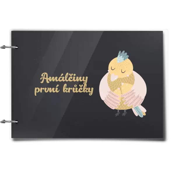 Plexi album se sponami První krůčky se jménem - kuřátka