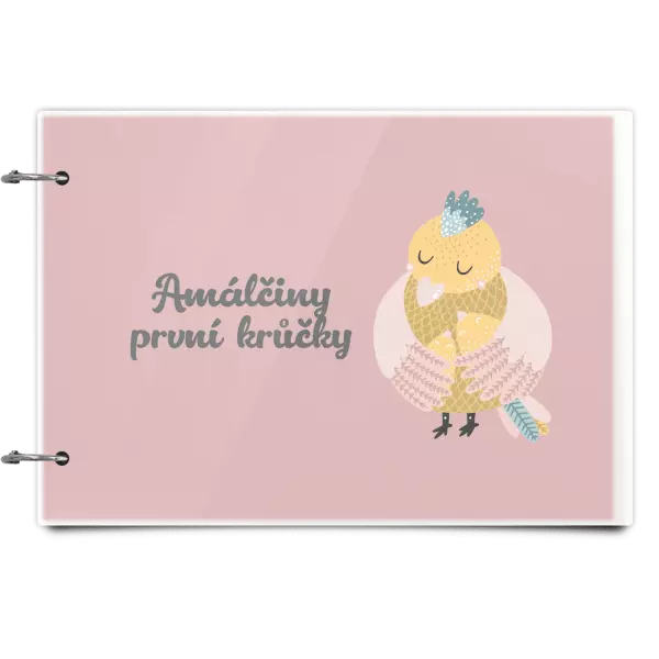 Plexi album se sponami První krůčky se jménem - kuřátka