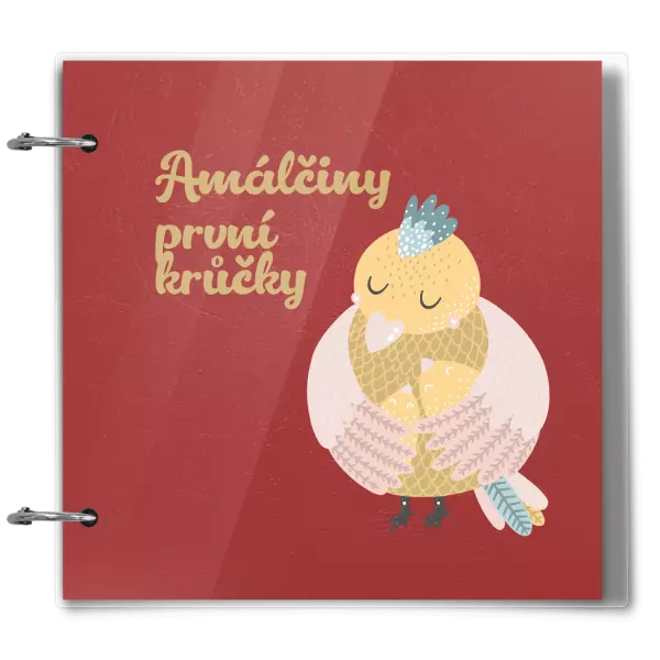 Plexi album se sponami První krůčky se jménem - kuřátka