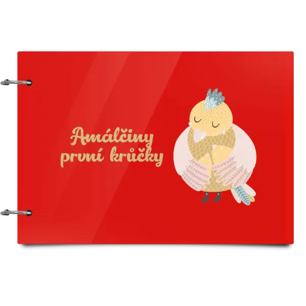 Plexi album se sponami První krůčky se jménem - kuřátka