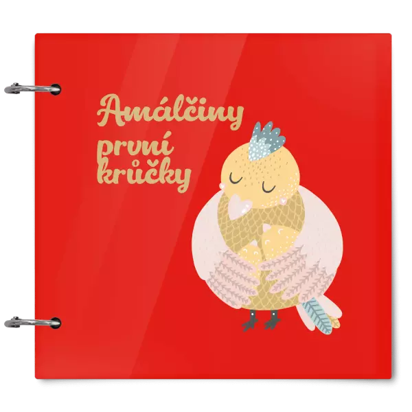 Plexi album se sponami První krůčky se jménem - kuřátka