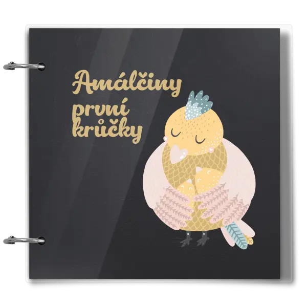 Plexi album se sponami První krůčky se jménem - kuřátka
