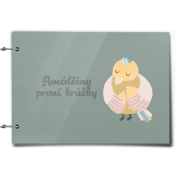 Plexi album se sponami První krůčky se jménem - kuřátka