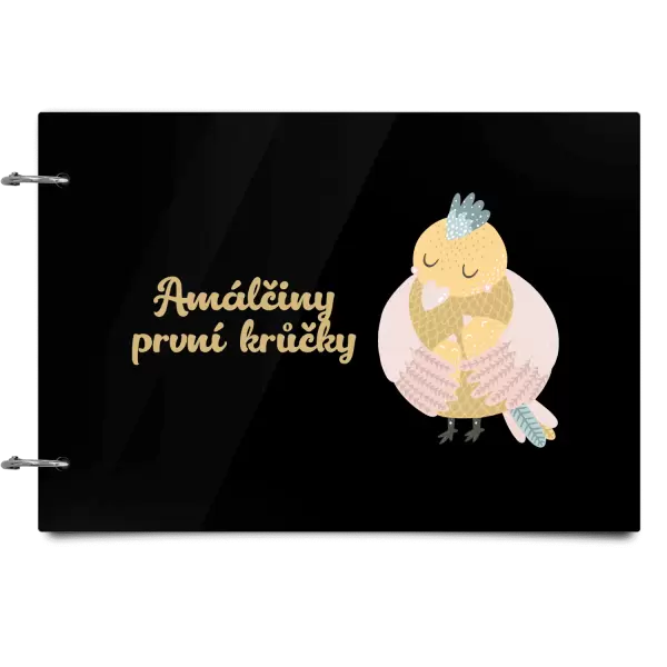 Plexi album se sponami První krůčky se jménem - kuřátka