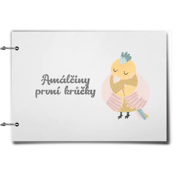 Plexi album se sponami První krůčky se jménem - kuřátka