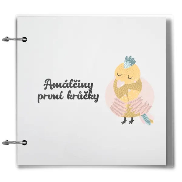 Plexi album se sponami První krůčky se jménem - kuřátka