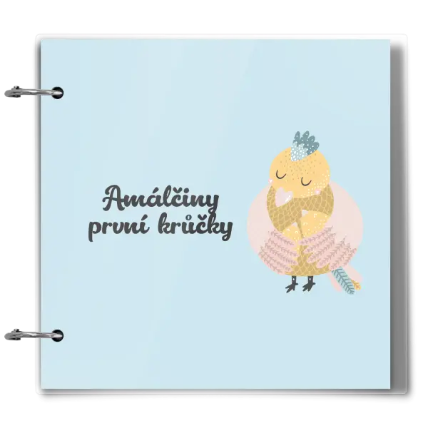 Plexi album se sponami První krůčky se jménem - kuřátka
