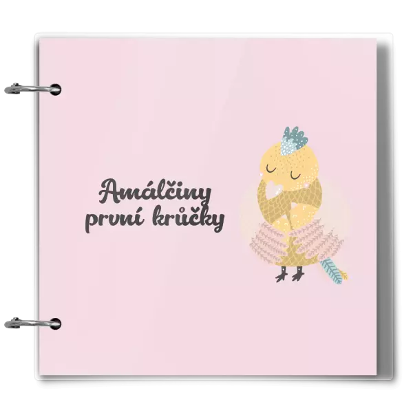 Plexi album se sponami První krůčky se jménem - kuřátka