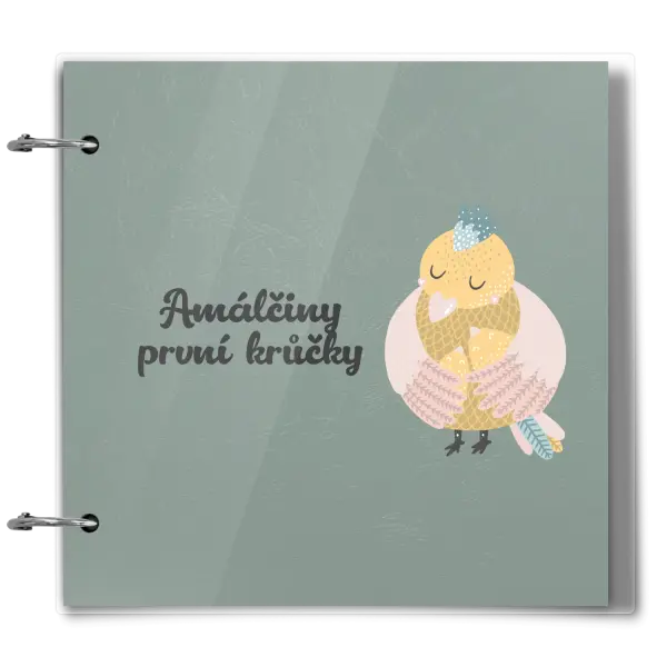 Plexi album se sponami První krůčky se jménem - kuřátka