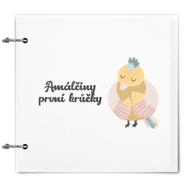 Plexi album se sponami První krůčky se jménem - kuřátka