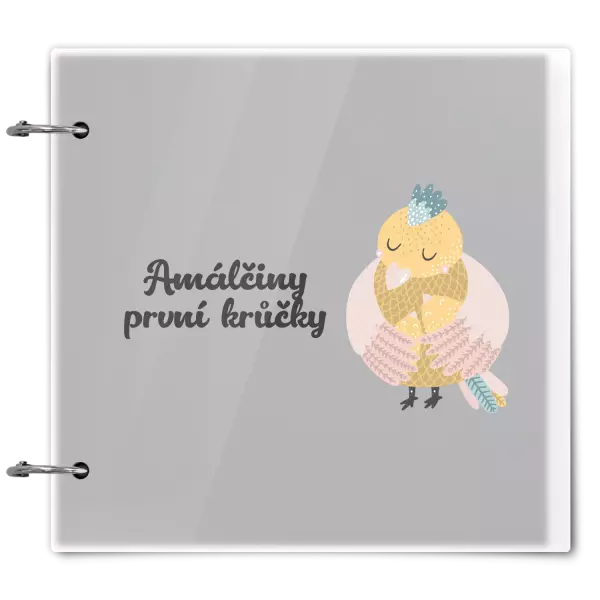 Plexi album se sponami První krůčky se jménem - kuřátka