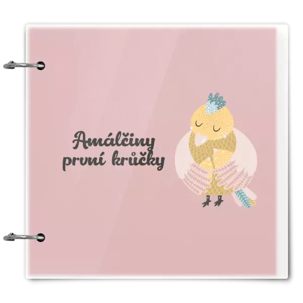 Plexi album se sponami První krůčky se jménem - kuřátka