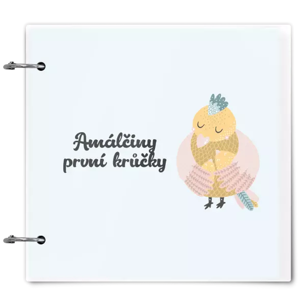 Plexi album se sponami První krůčky se jménem - kuřátka