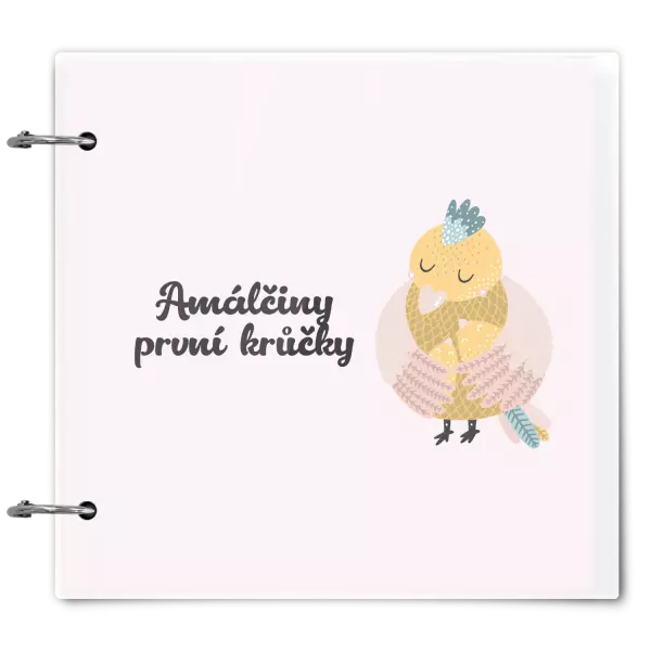 Plexi album se sponami První krůčky se jménem - kuřátka
