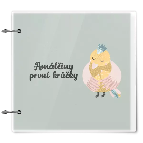 Plexi album se sponami První krůčky se jménem - kuřátka