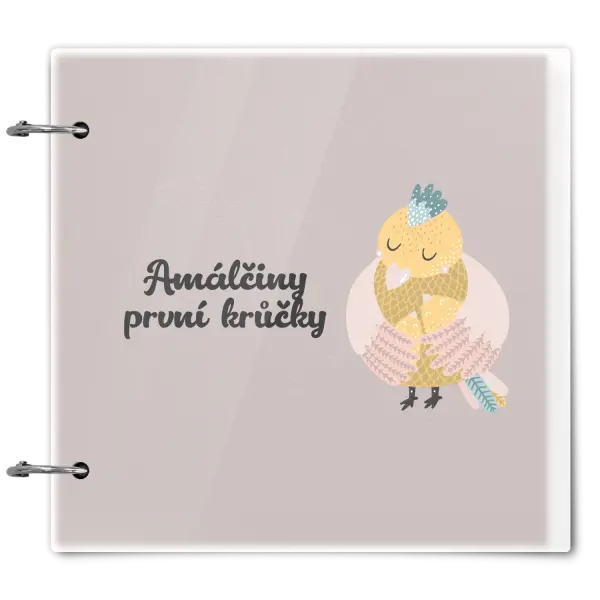 Plexi album se sponami První krůčky se jménem - kuřátka