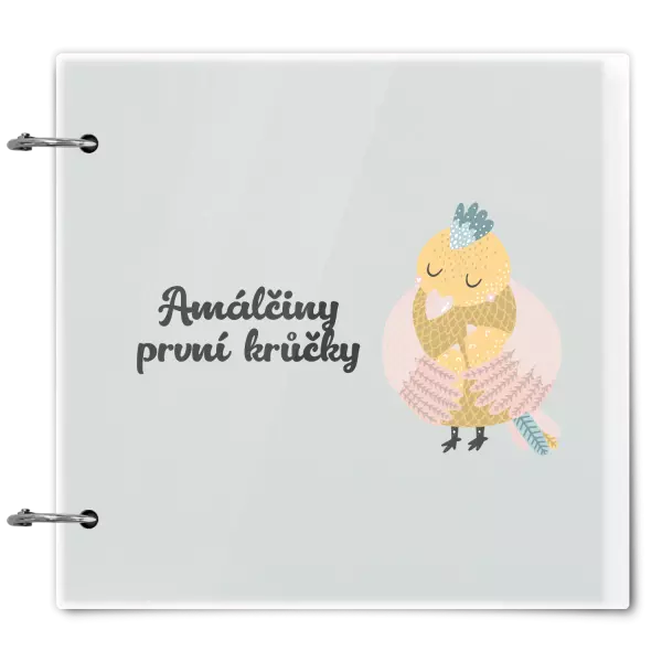 Plexi album se sponami První krůčky se jménem - kuřátka