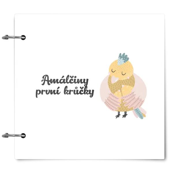Plexi album se sponami První krůčky se jménem - kuřátka