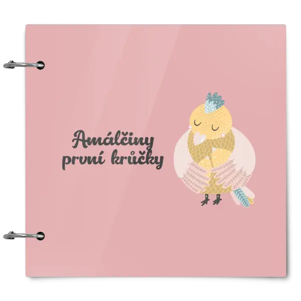 Plexi album se sponami První krůčky se jménem - kuřátka
