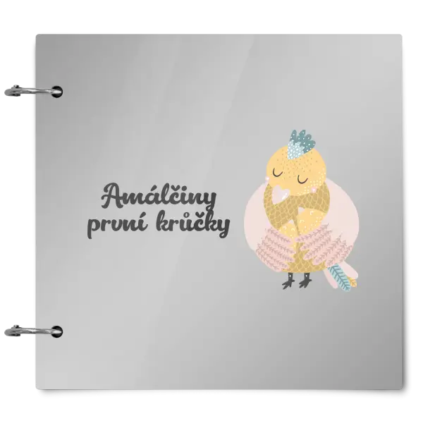Plexi album se sponami První krůčky se jménem - kuřátka