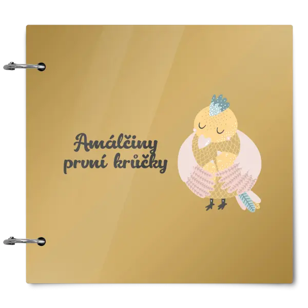 Plexi album se sponami První krůčky se jménem - kuřátka