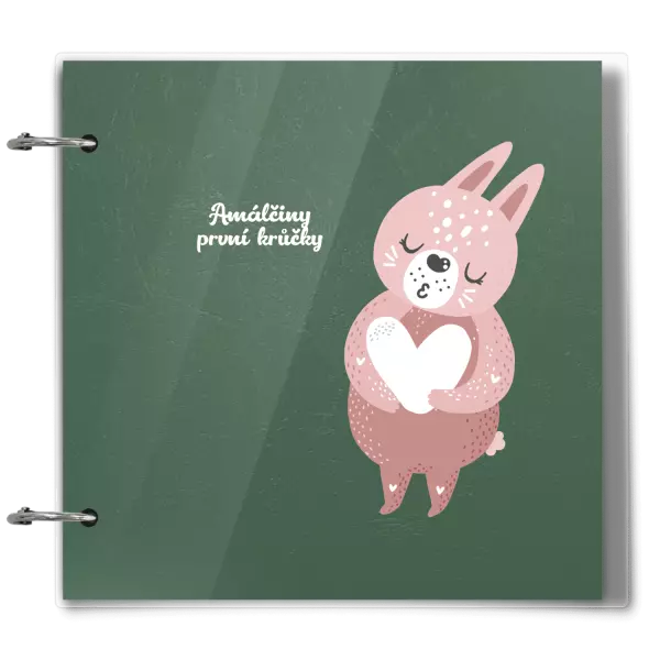 Plexi album se sponami První krůčky se jménem - zajíček