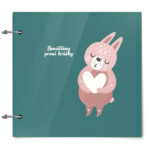 Plexi album se sponami První krůčky se jménem - zajíček