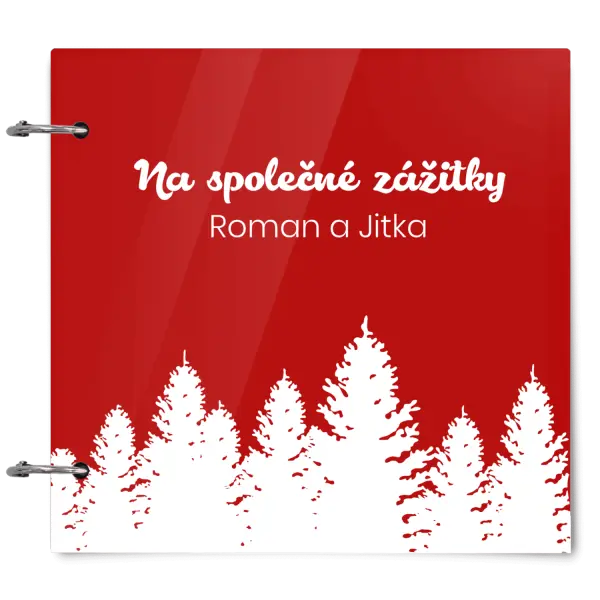 Plexi album se sponami Společné zážitky