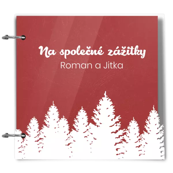 Plexi album se sponami Společné zážitky