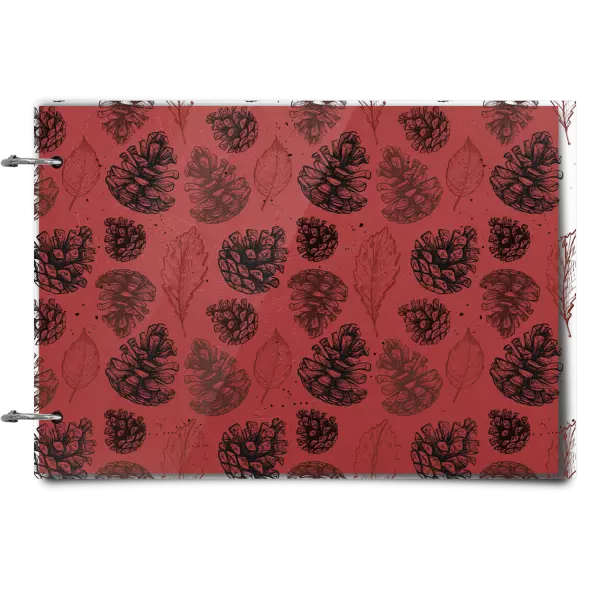 Plexi album se sponami Šišky