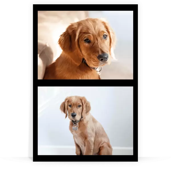 PVC svatební fotoobraz Koláž 2 fotky